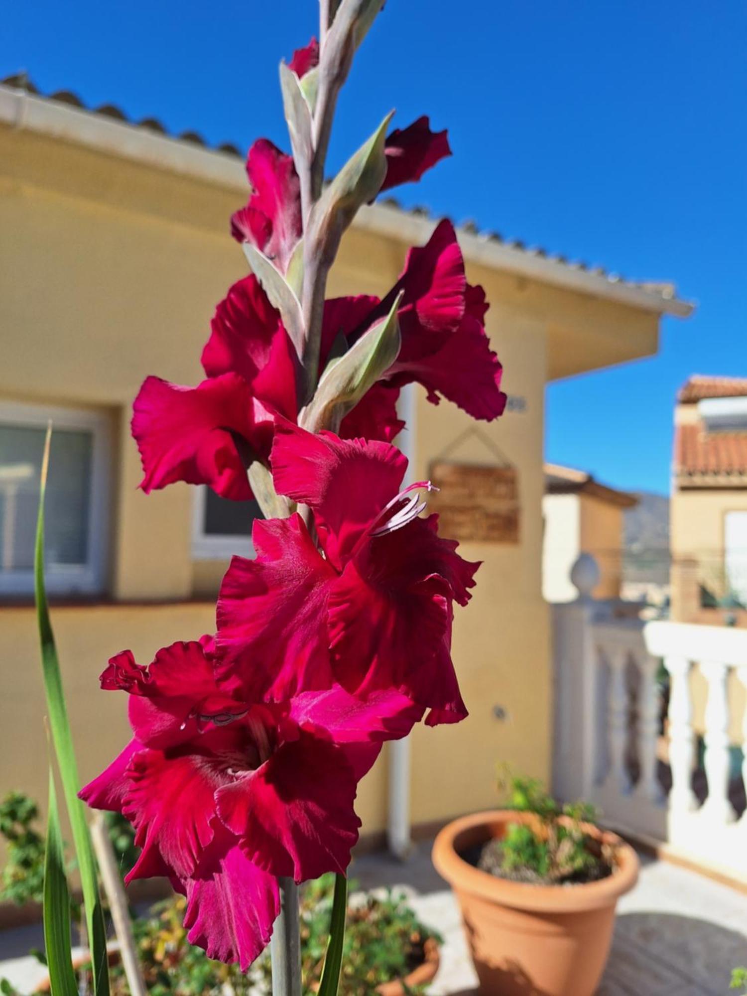 Casa Mirador Perea Apartment Malaga Bagian luar foto